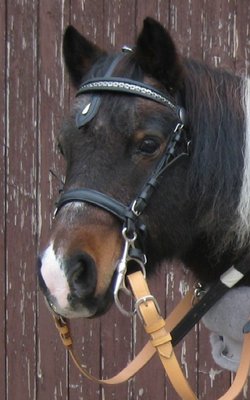 Scheck_Fahren_Kopf.jpg (58.43 KiB) 2558 mal betrachtet Wann gehts los?