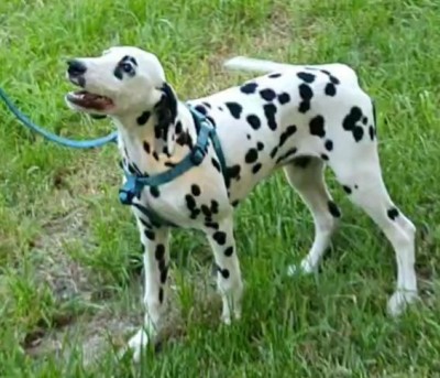 20190822_150006.jpg (62.18 KiB) 2468 mal betrachtet Emma