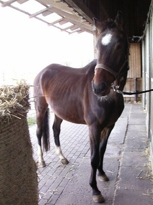 Bild vom Dezember
