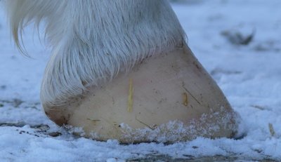hinten_rechts.jpg (41.62 KiB) 2345 mal betrachtet hinten rechts