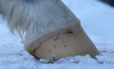 hinten_links_von_rechts.jpg (36.43 KiB) 2345 mal betrachtet hinten links von rechts aufgenommen