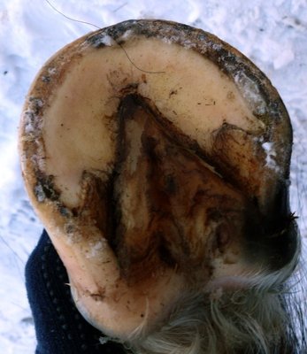 hinten_links.jpg (66.86 KiB) 2341 mal betrachtet hinten links