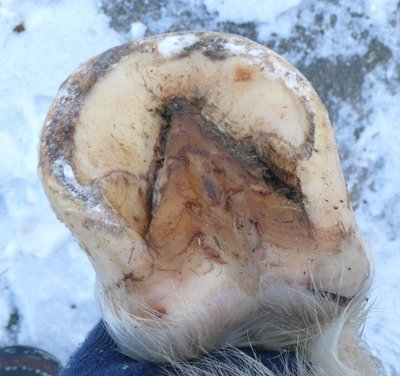 hinten_rechts_unten.jpg (78.95 KiB) 2341 mal betrachtet hinten rechts