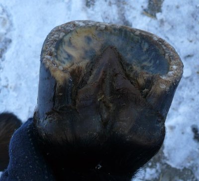 vorne_links.jpg (58.95 KiB) 2341 mal betrachtet vorne links