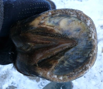 vorne_links_unten.jpg (65.66 KiB) 2341 mal betrachtet vorne links