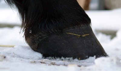 vorne_links_von_rechts.jpg (35.07 KiB) 2341 mal betrachtet vorne links von rechts aufgenommen