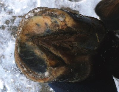 vorne_rechts.jpg (57.45 KiB) 2340 mal betrachtet vorne rechts