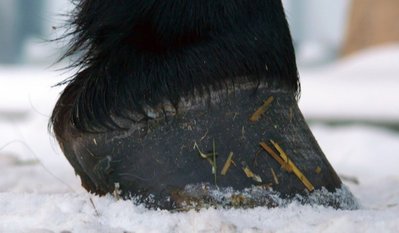 vorne_rechts_seite.jpg (40.07 KiB) 2340 mal betrachtet vorne rechts