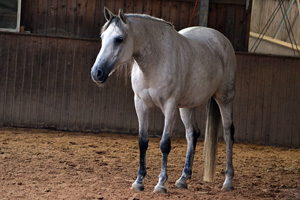 DSC_0116 Kopie.jpg