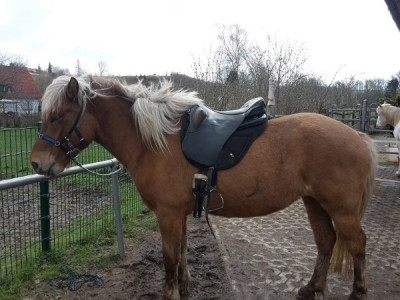 20210413_112449_1.jpg (96.49 KiB) 2331 mal betrachtet 20210413_112449_1.jpg