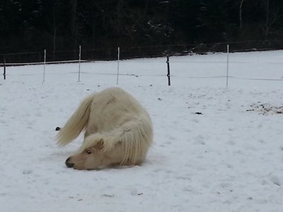 20130222_103416.jpg