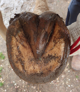 Bildschirmfoto 2021-09-04 um 22.53.12.png