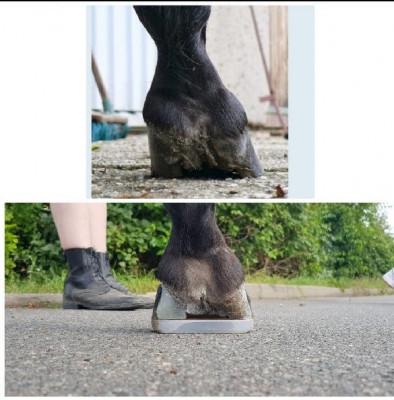 Screenshot_20210909-132019_WhatsApp_resize_55.jpg (64.13 KiB) 3990 mal betrachtet 2013 vs 2021