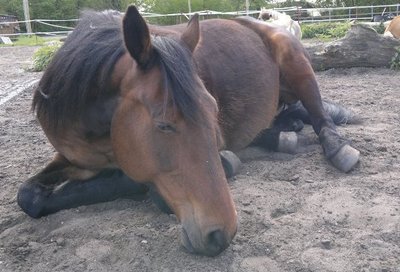 stütchen.jpg (81.52 KiB) 8474 mal betrachtet *schnarch*