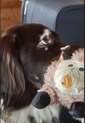 krü.JPG (41.32 KiB) 3766 mal betrachtet September 2022