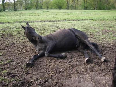 20.05.10 endlich wärmer 019.jpg pp.jpg