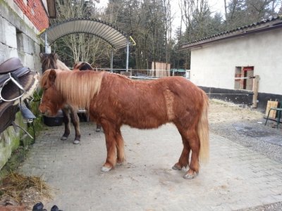 20130111_114909.jpg