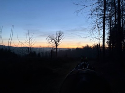 IMG_0440.jpeg