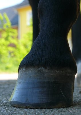 vornerechts1_Mai2013.jpg