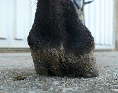 vornerechts5_Mai2013.jpg
