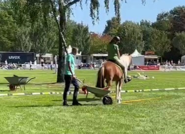 VideoCapture_20250818-191523.jpg