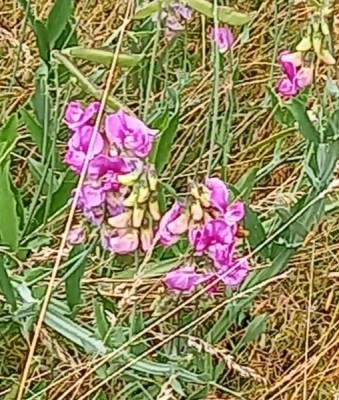 20260707_113339.jpg