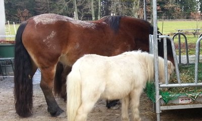 20130111_120241.jpg