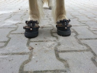 20130422_160950.jpg