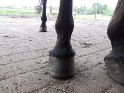 Vorne rechts