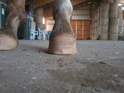Abby 06.07.13h.l.v..JPG