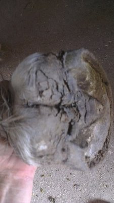 vorne links Ballen.jpg