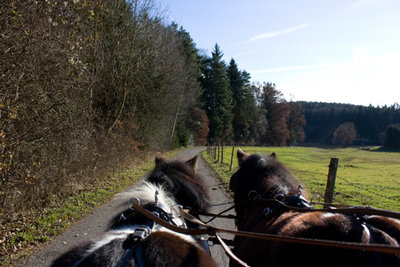 Kutsche.jpg