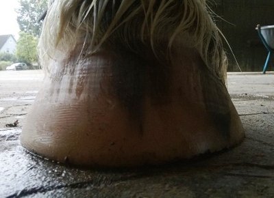 hinten links 002.jpg