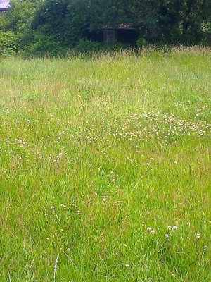 Foto0038.jpg