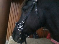 Steffi Handy 758.jpg