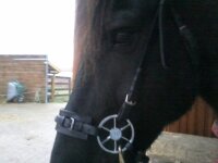 Steffi Handy 760.jpg