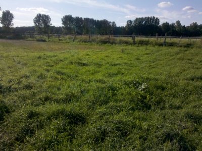2012-07-22_18-24-28_341.jpg