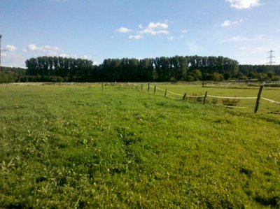 2012-07-22_18-23-01_567.jpg