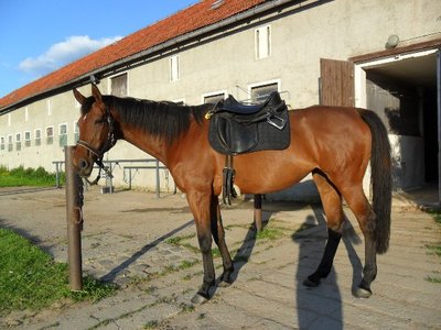 andere Seite