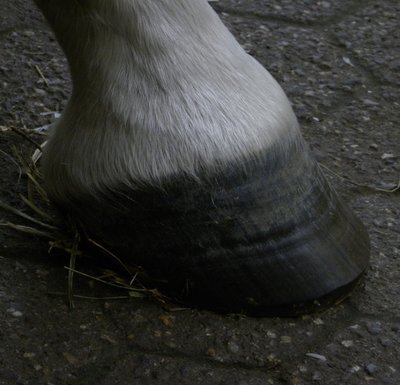 vorne rechts.jpg