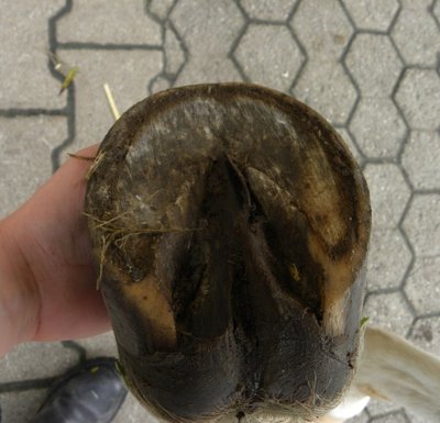 vorne rechts unten