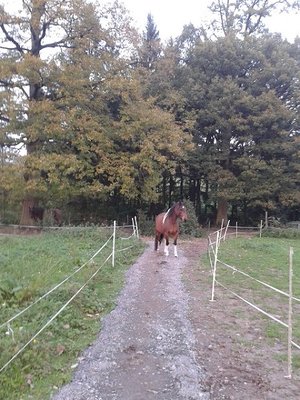 Eichenweg klein.jpg