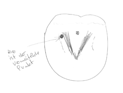 huf.PNG