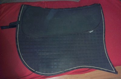 IMAG0737.jpg