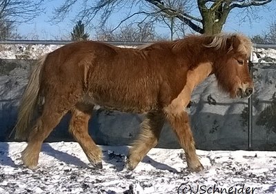 WP_20160119_011.jpg