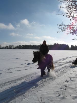 Schneesoti.jpg