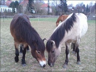 IMG248.jpg