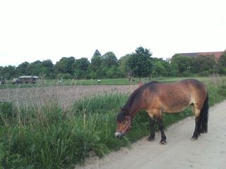 IMG360.jpg