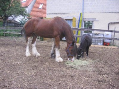 jes und johnny.jpg