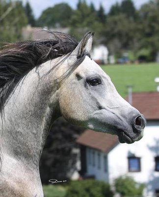 8202_4545836319990_2026980944_n[1].jpg